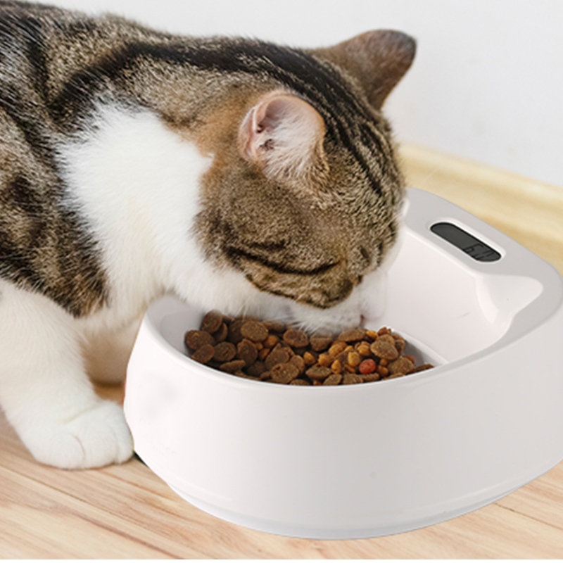 Bowl per animali domestici di alimentazione intelligente 450ml