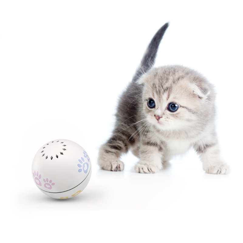 Giocattoli interattivi della palla del gatto del laser