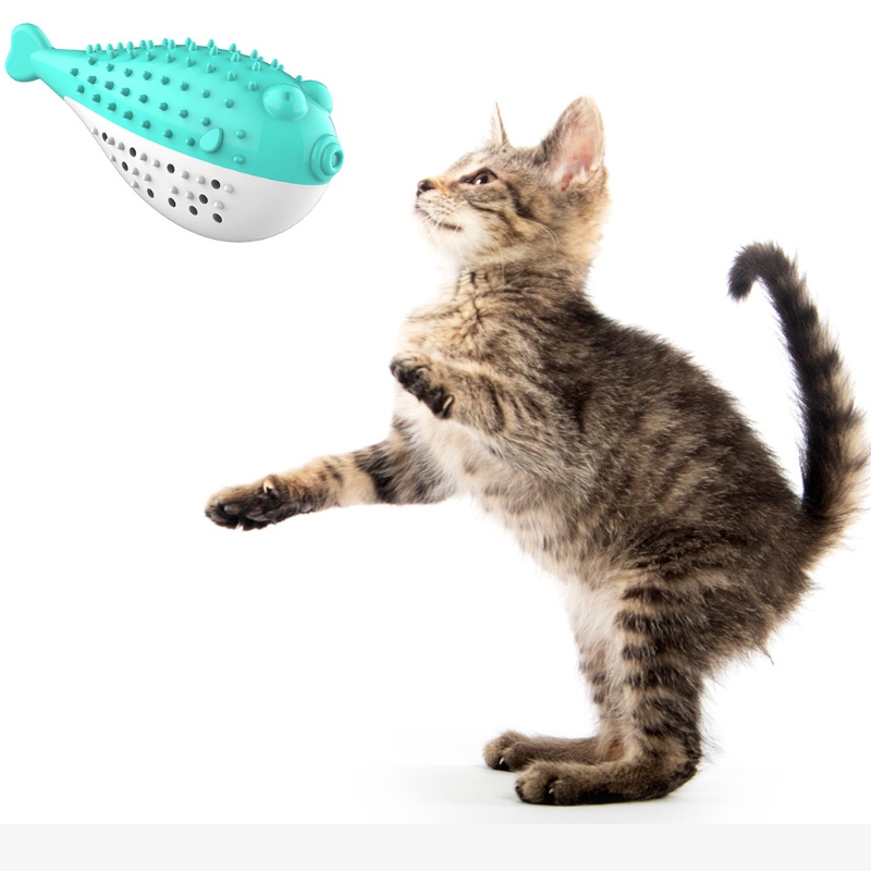 Furjoyz all\'ingrosso divertente pet giocattoli spazzolino giocattolo interattivo giocattolo portatile cat cat intelligente denti denti gomma catnip gatto giocattolo