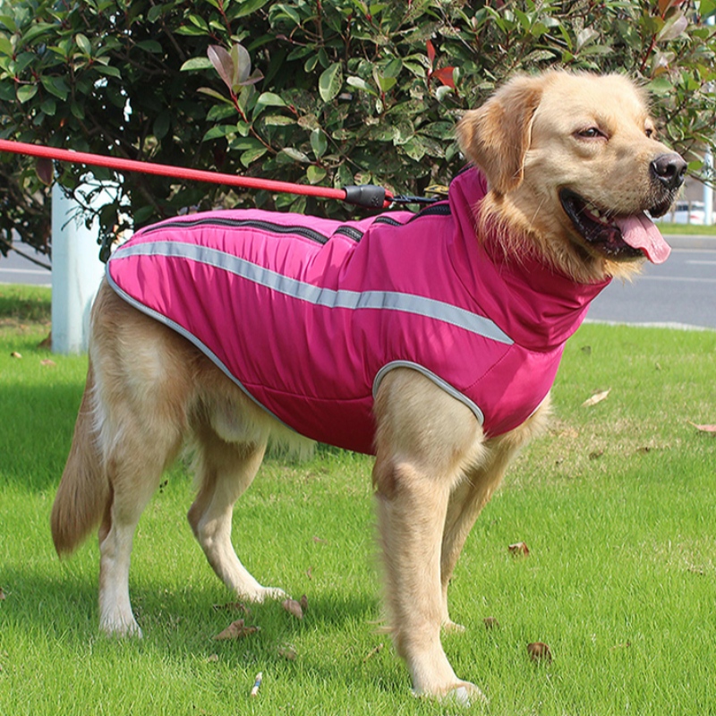 Amazon Top Seller Personalizzato Dog Harness Harness Abbigliamento per cani Abbigliamento riflettente per cani medi e grandi