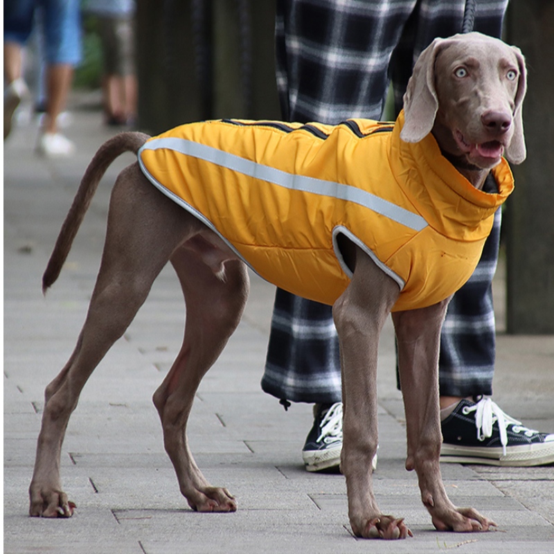 Vestiti per cani della giacca classica della versione classica della versione classica a basso costo del Moq