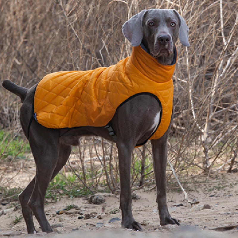 Amazon Vendita calda Nuovo PET Vestiti per cani Abbigliamento per cani Autunno e inverno Maglione elastico addensato Maglione per animali domestici