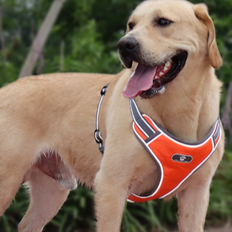 Produzione OEM all\'ingrosso Harness Personalizzato High End Harness Cablaggio di lusso Pet Dog Reversibile Cablaggio Riflettente Dog Brabura